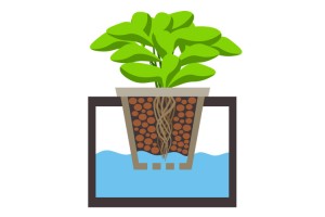 Different Hydroponic Systems