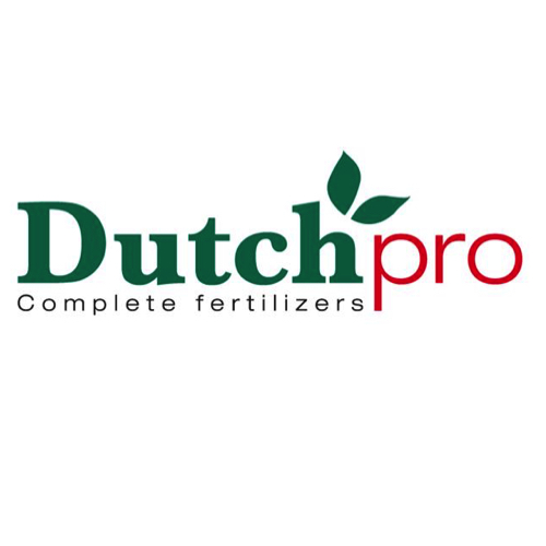 Dutch Pro