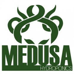 Medusa Systems