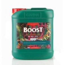 5L Boost Accelerator Canna