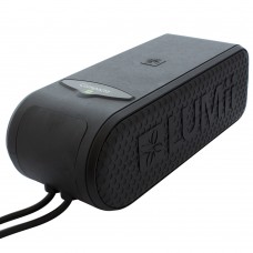 600W Compacta Potted Ballast Lumii