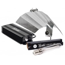 600w Lumii BLACK Lighting Kit