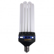200W (Blue Spectrum) CFL Bulb
