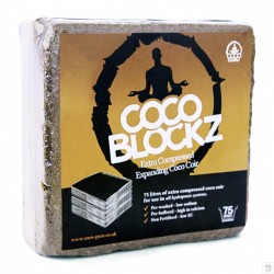 Coco Blockz
