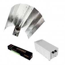 250w Omega Euro Lighting Kit