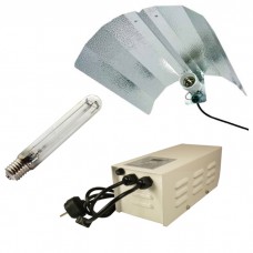 400w Euro Lighting Kit