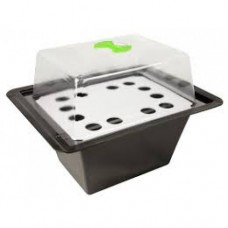 12 Site X-Stream Propagator