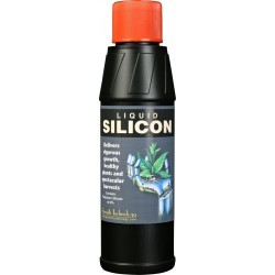 1L Liquid Silicon Growth Technology