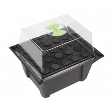 20 Site X-Stream Propagator