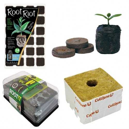 Root Cubes / Jiffy